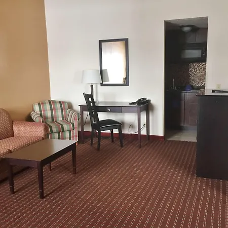 فندق إيبيس برانسيون قصر المعارض الدائرة 15 3*